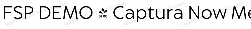 FSP DEMO - Captura Now Medium字体转换
